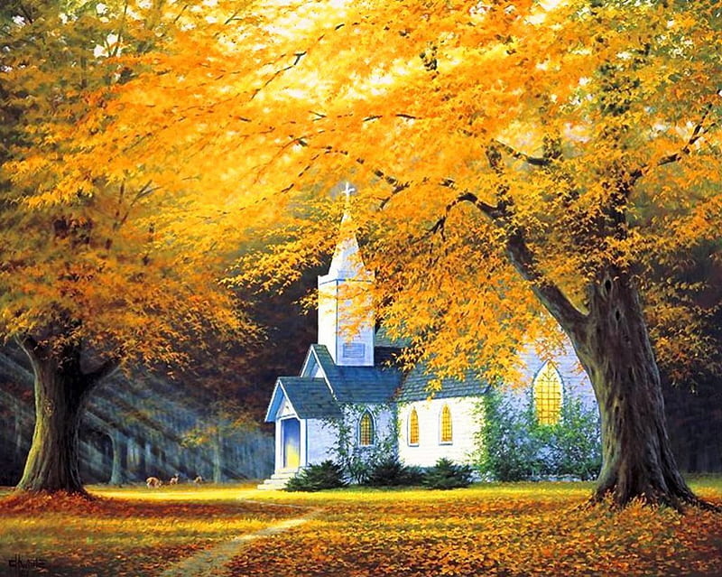 Church in Park, fall, autumn, seasonal, leaves, colors, trees, HD