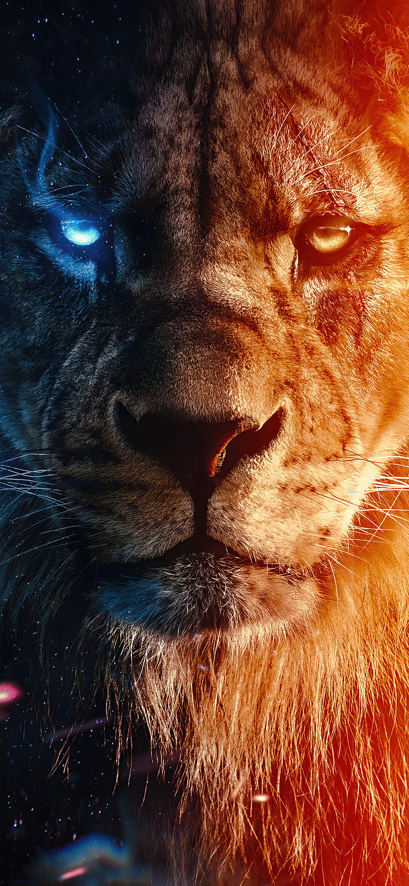 Lion - Top 30 Best Lion Background, Danger Lion, HD phone ...