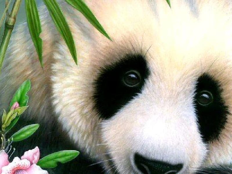Hello, panda, blossom, plant, bear, wildlife, HD wallpaper