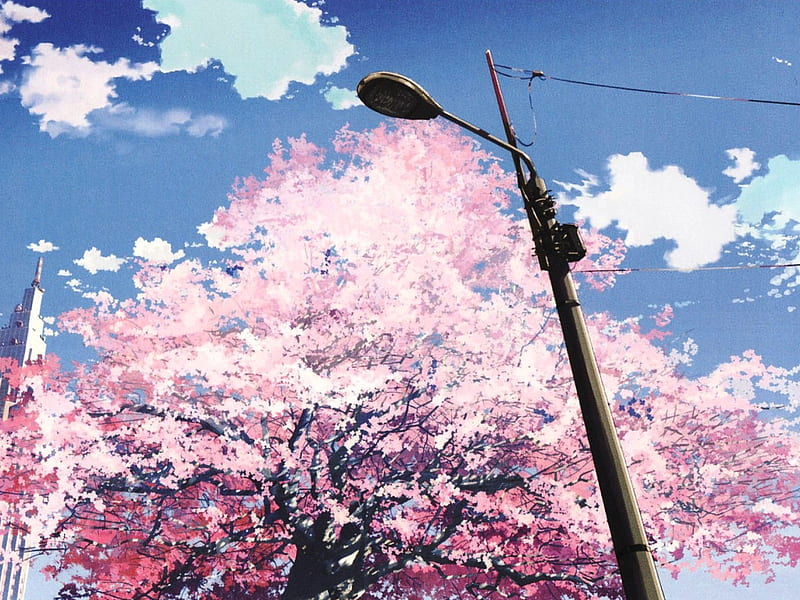 Top more than 79 anime sakura tree best - in.duhocakina