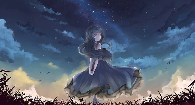 Stars, dress, sky, hair, nice, girl, anime, dark, star, blue, night, HD wallpaper