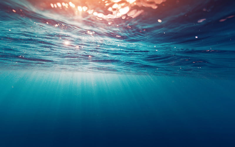 Blue Sea Underwater Wallpaper HD 1080p. | Underwater wallpaper, Ocean  underwater, Underwater background