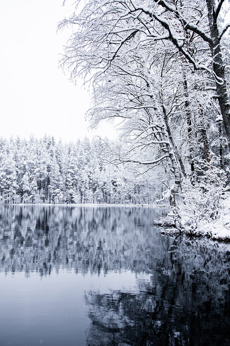 lake, trees, snow, winter, landscape, HD phone wallpaper