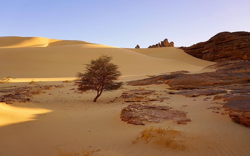 Drought Desert Tin Akachaker Tamanrasset Algeria, HD wallpaper