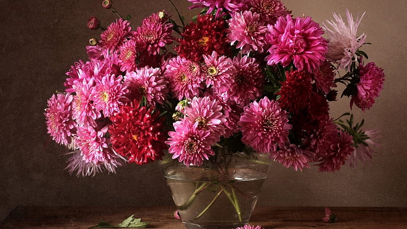 A bouquet of autumn Flowers, bonito, Brightly, Aster, Chrysanthemum, HD wallpaper