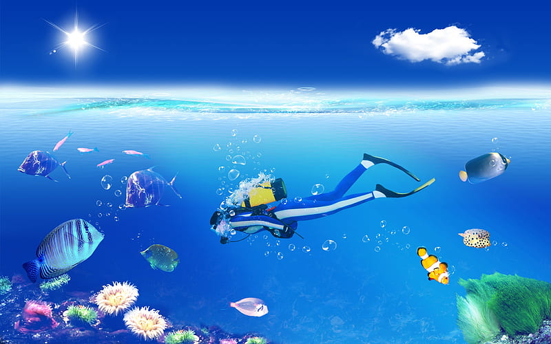 Creative Digital Composite-Diving in the colourful world, HD wallpaper