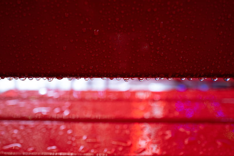 drops, macro, wet, surface, red, HD wallpaper