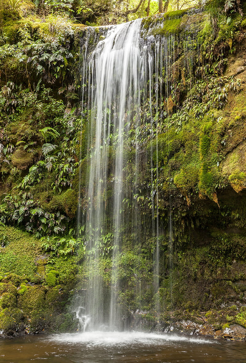 waterfall, water, grass, cliff, HD phone wallpaper