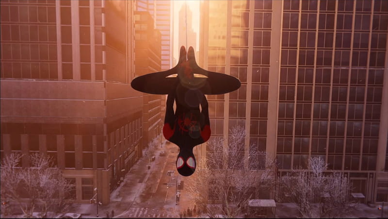 MM opside down, city, into the spider-verse, miles morales, spiderman, web, HD wallpaper