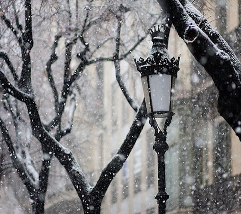 winter lantern, avenue, branches, lantern, light, post, snow, street, trees, winter, HD wallpaper