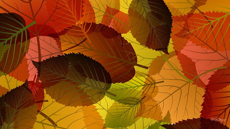 Gather Fall Leaves, colorful, fall, autumn, aspen, orange, chilly, birch, abstract, leaves, gold, green, chill, bright, HD wallpaper