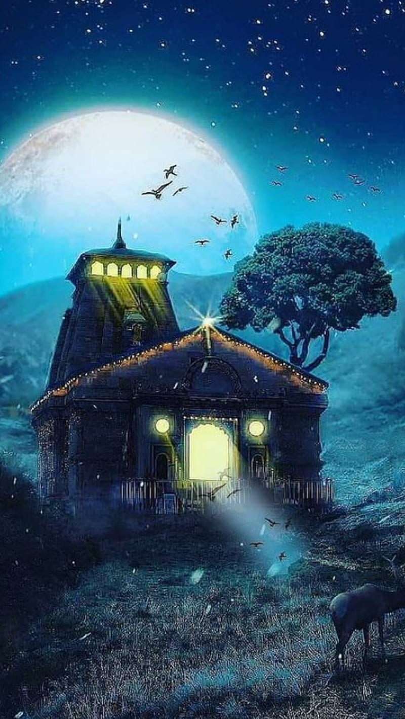 House, aliens, blind, christmas, church, earth, forest, head, moonlight, old, street, HD phone wallpaper