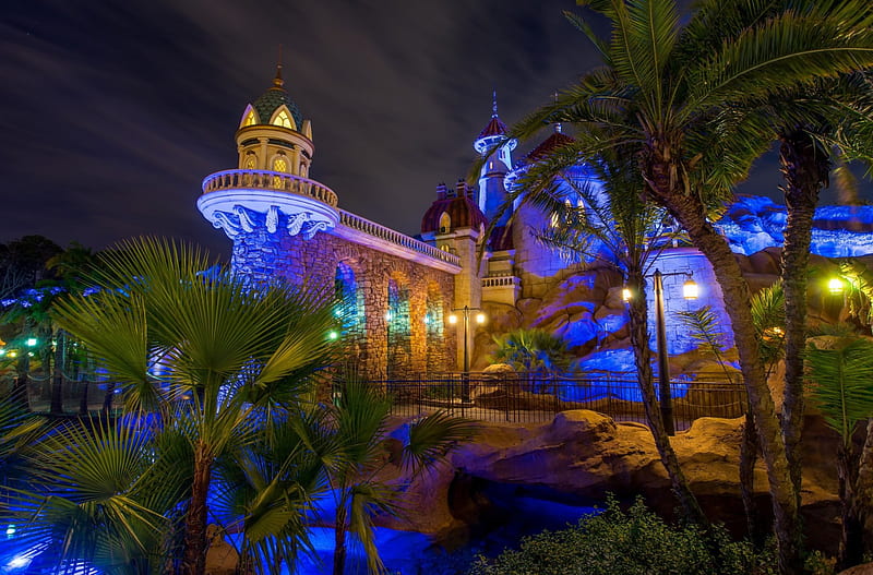 Magic Kingdom - Disneyland, Palms, Kingdom, Disneyland, Magic, HD wallpaper