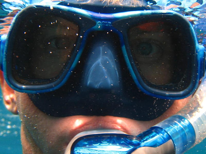 Sea Monster, water, snorkeling, funny, mask, HD wallpaper