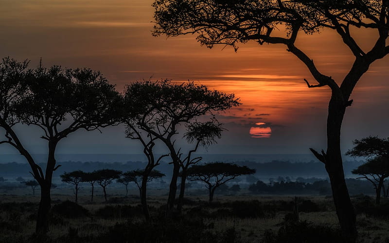 Sunset in Masai Mara Kenya, forest, cool, sunset, nature, fun, HD wallpaper