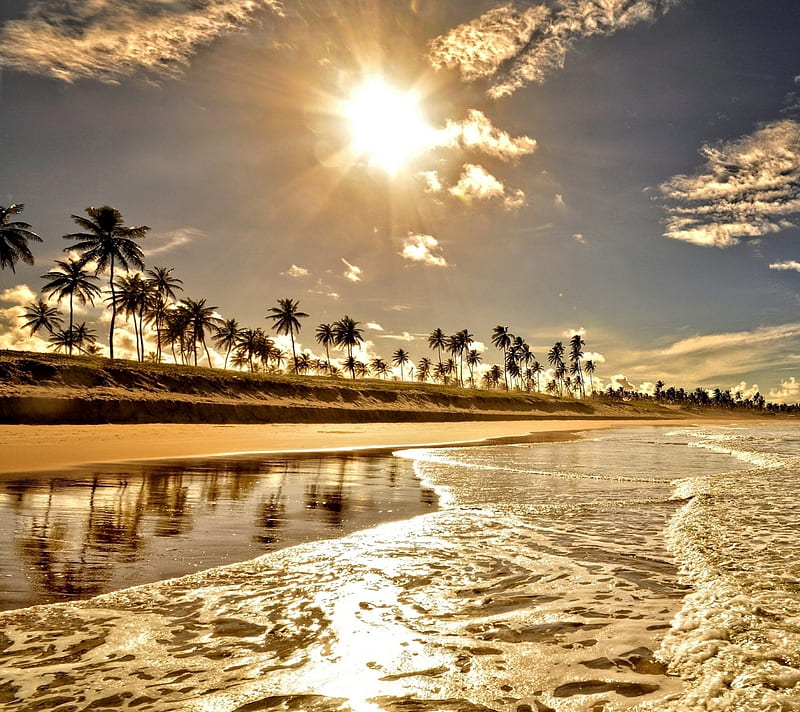 Golden Sunrise, beach, summer, waves, HD wallpaper
