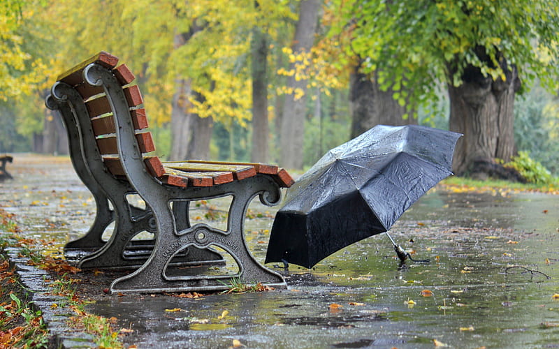 Rainy Day, autumn, bench, umbrella, bonito, park, rainy, leaves, graphy,  nature, HD wallpaper | Peakpx