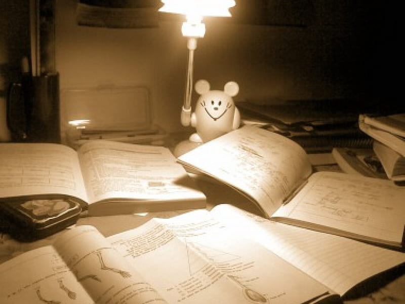 Midnight Oil, studious, study, night lamp, night, HD wallpaper