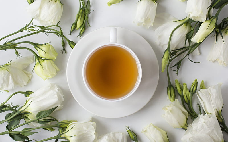 flower tea, green tea, white cup with tea, white roses, tea concepts, HD wallpaper