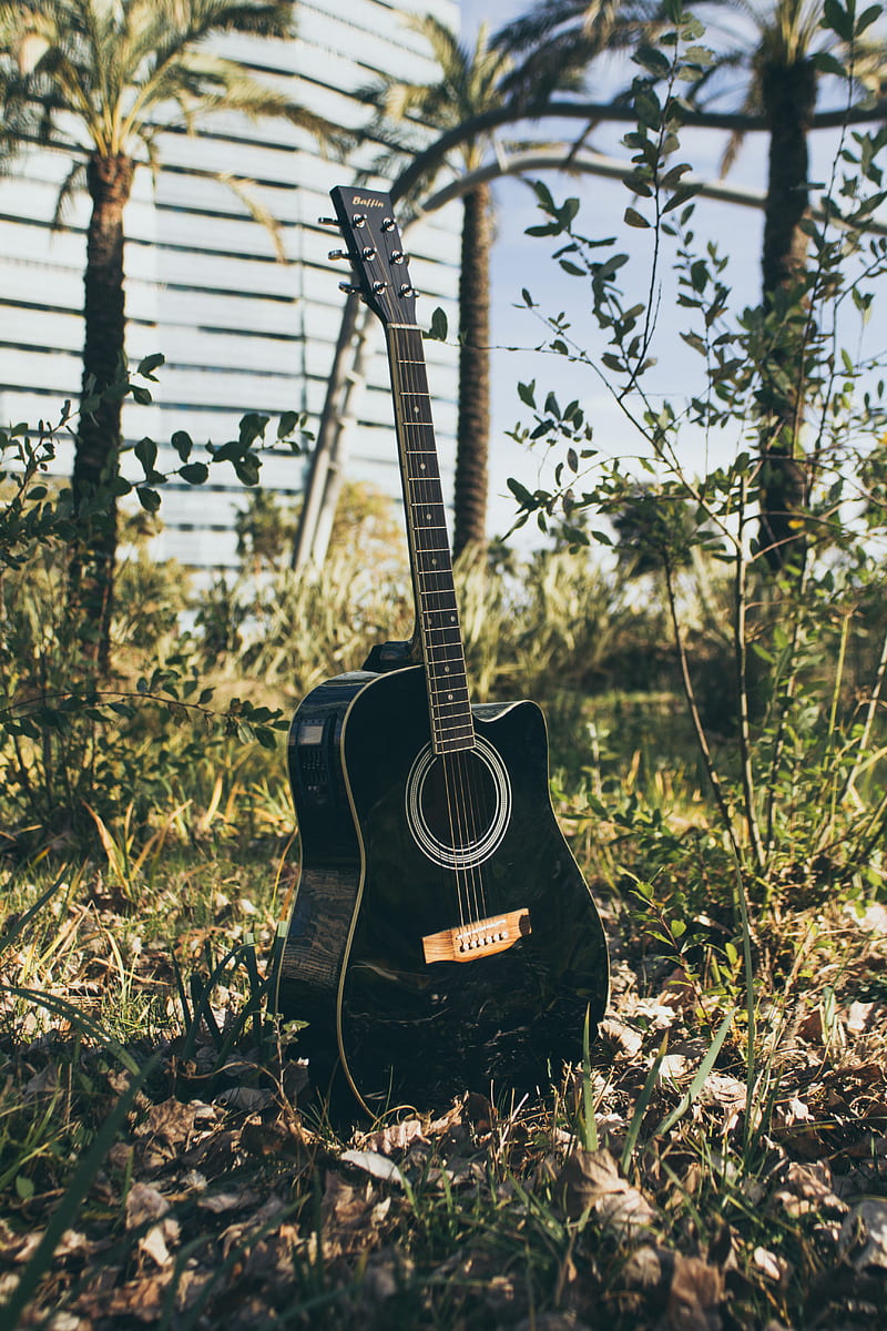 black acoustic guitar on green grass, HD phone wallpaper