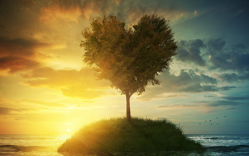Tree heart, sunset, 3d landscape, 3d tree, island, HD wallpaper