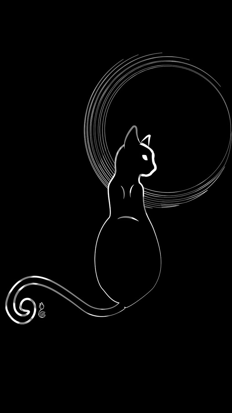 CATS, black, black and white, blue, cat, edge, lights, neon, themes, white, HD phone wallpaper
