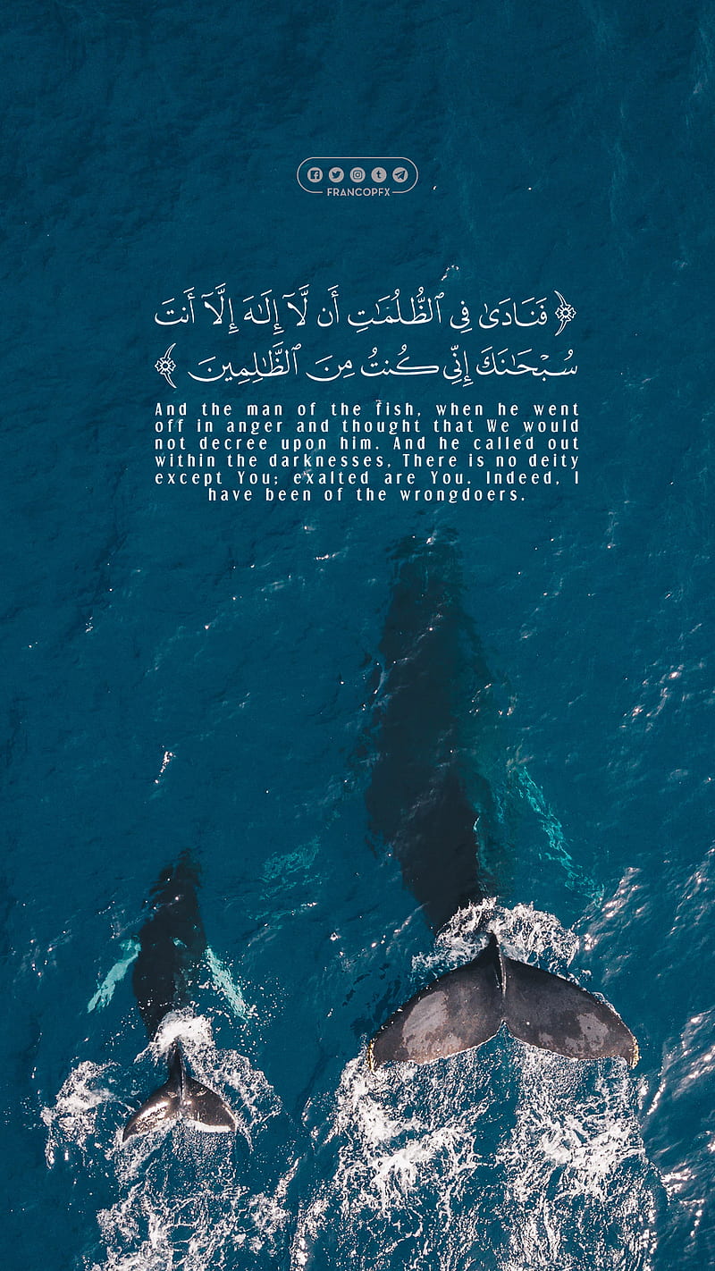 Younes, doaa, islam, islamic, sea, whale, HD phone wallpaper