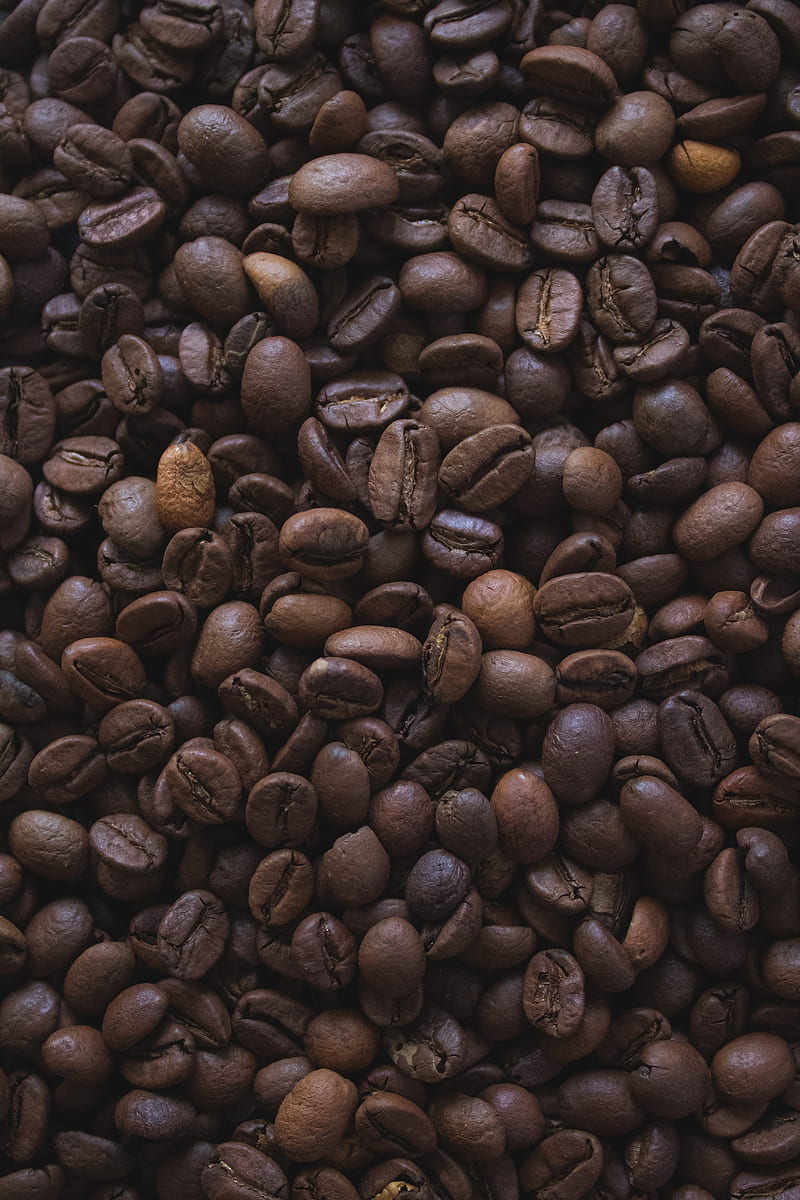 coffee beans, beans, coffee, macro, brown, HD phone wallpaper