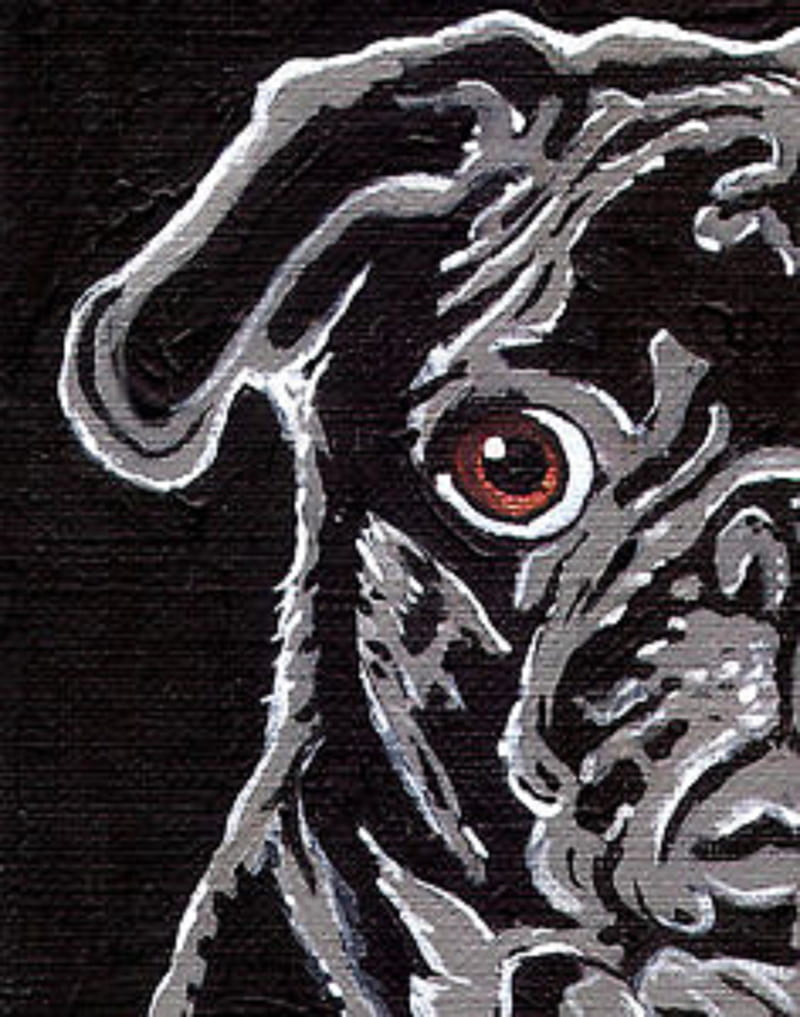 Black pug, dark, dog, pet, HD mobile wallpaper