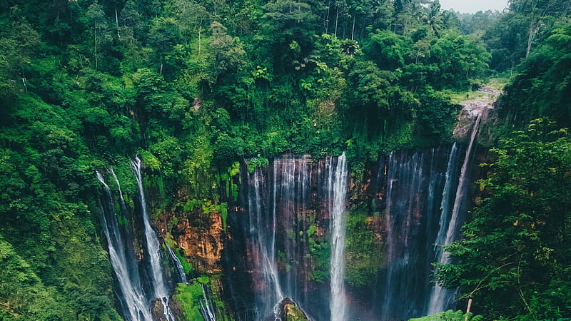 Waterfalls Trees In Forest Macbook Pro Macbook, HD wallpaper