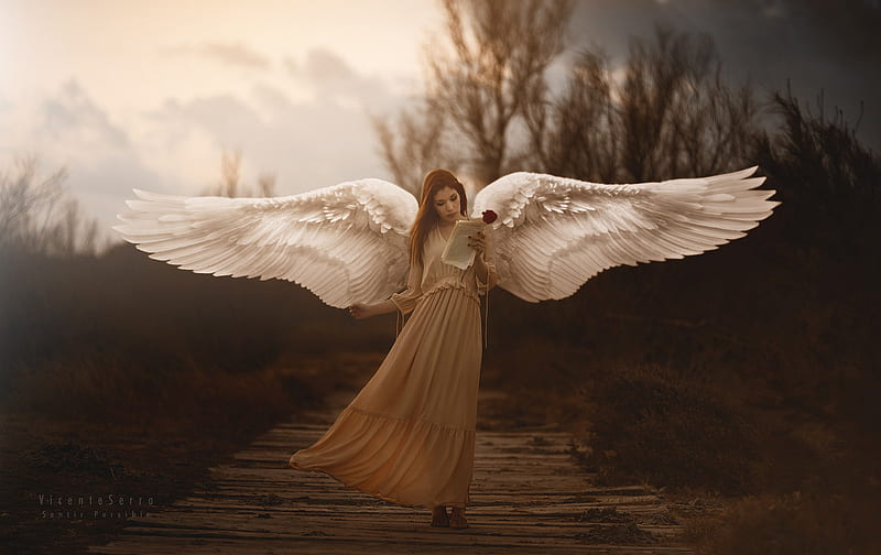 Girl With Wings Angel, girls, model, angel, HD wallpaper
