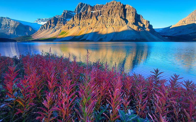 albert, lake, mountains, evening landscape, canada, HD wallpaper