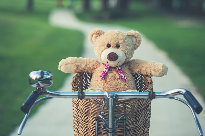 teddy bear, bicycle, vintage, toy, summer, Others, HD wallpaper