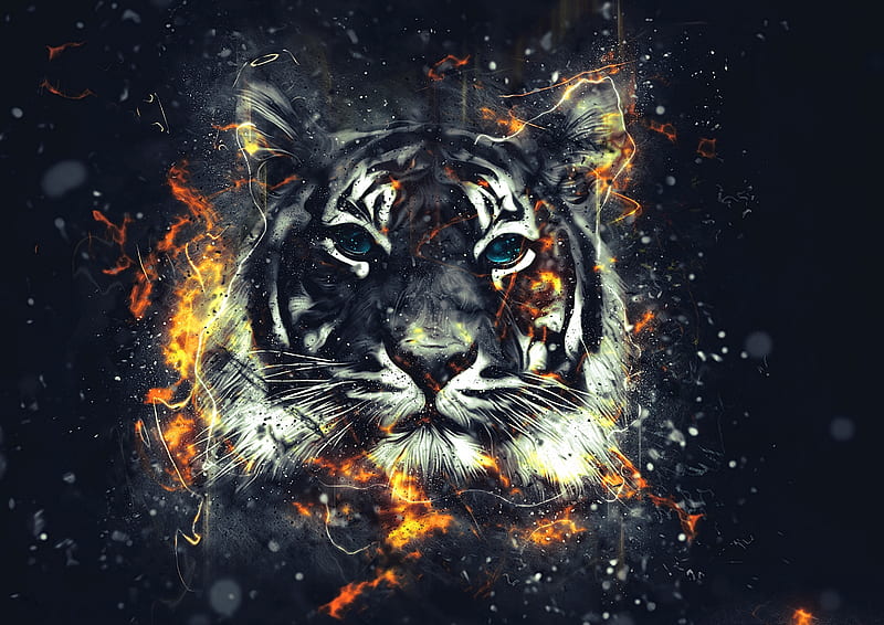 Tiger, animal, cool, tiger, tigers, HD wallpaper | Peakpx