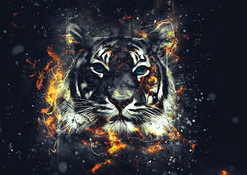 tiger, animal, cool, tiger, tigers, HD wallpaper