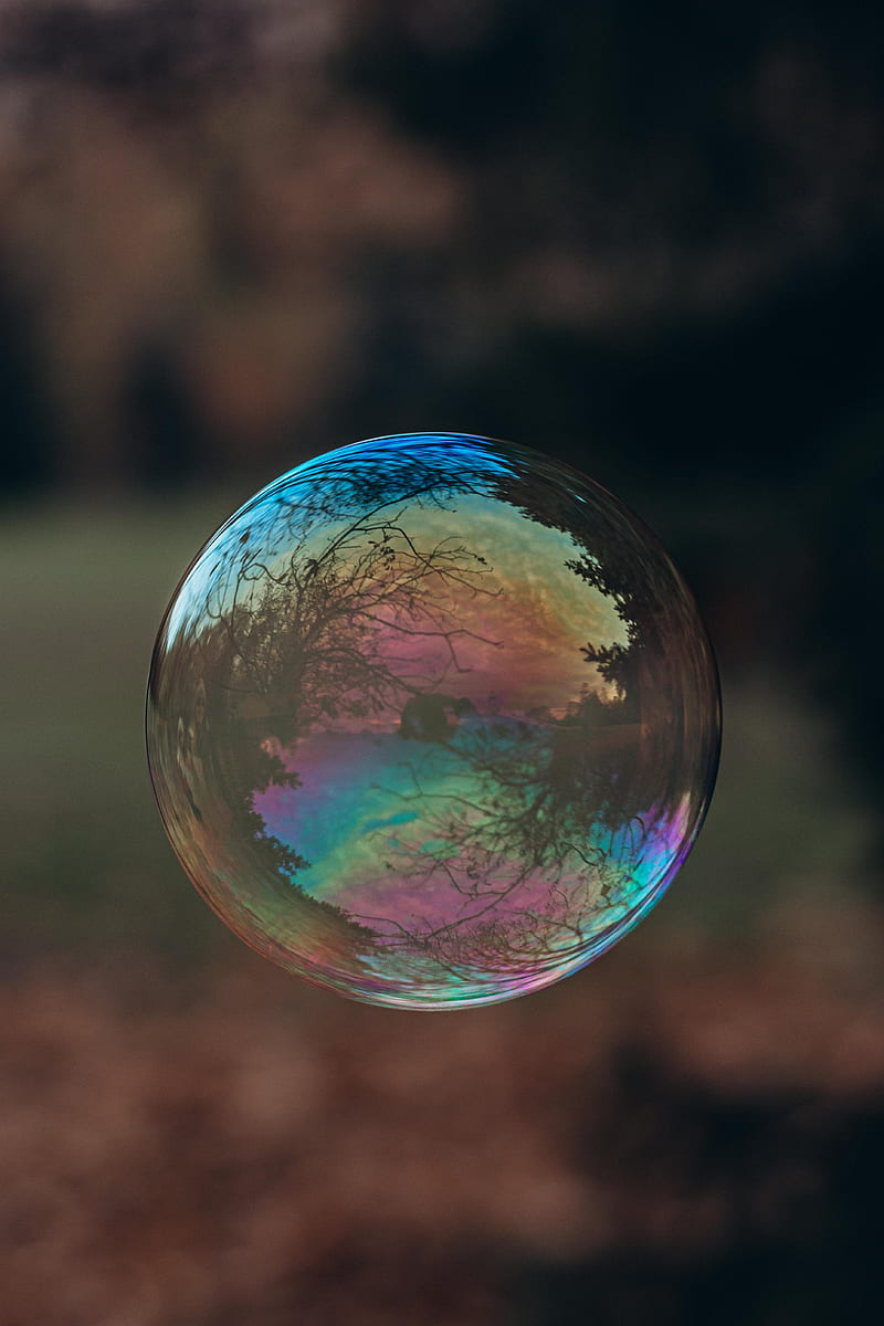 soap bubble, bubble, reflection, macro, transparent, HD phone wallpaper