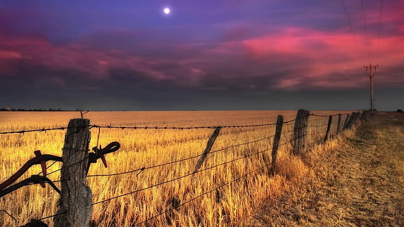 wheat fields under a moon at dusk, fence, moon, dusk, fields, lines, HD wallpaper