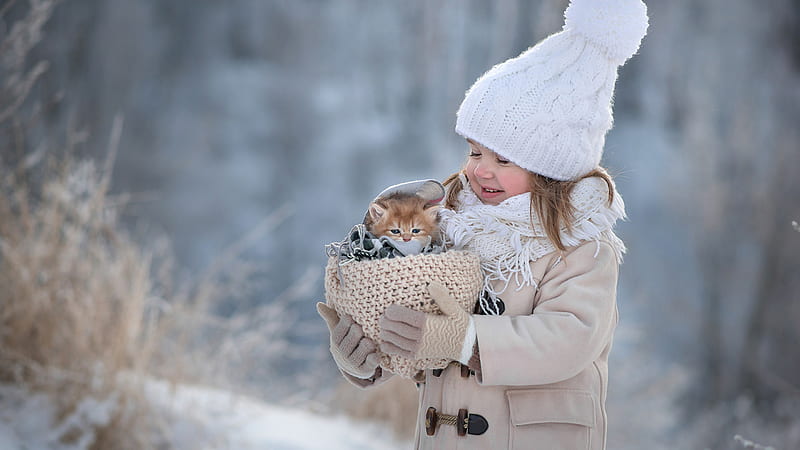 Cute Little Girl Is Holding Kitten In Woolen Basket Wearing Woolen Knitted Cap And Scarf In Show Background Cute, HD wallpaper