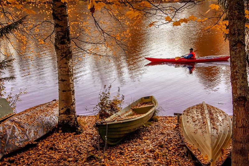 Autumn canoeist, fall, autumn, calmness, lovely, bonito, lonely, canoe, park, trees, lake, boats, leaves, serenity, nature, river, reflection, HD wallpaper