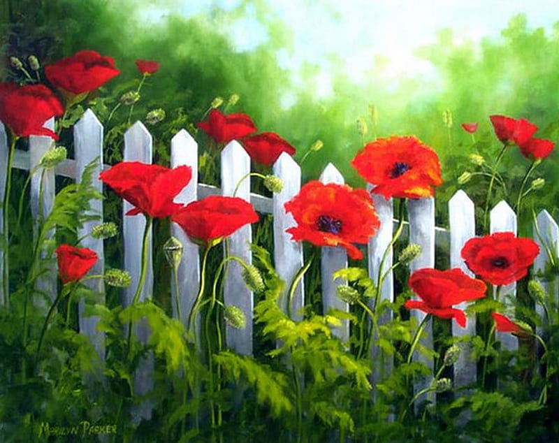 red flowers, red, flowers, grass, natute, HD wallpaper