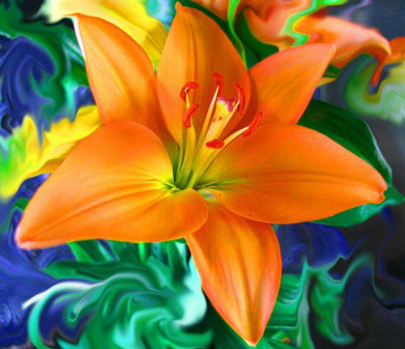 Stunning Orange Lily, orange, close-up, flowers, lily, nature, HD wallpaper