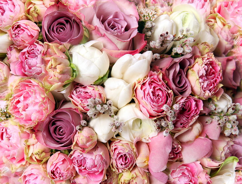 Flowers, pink flowers, pink flower, Many, Rose, Bouquet, Nature, Bouquets, Roses, pink, Flower, HD wallpaper