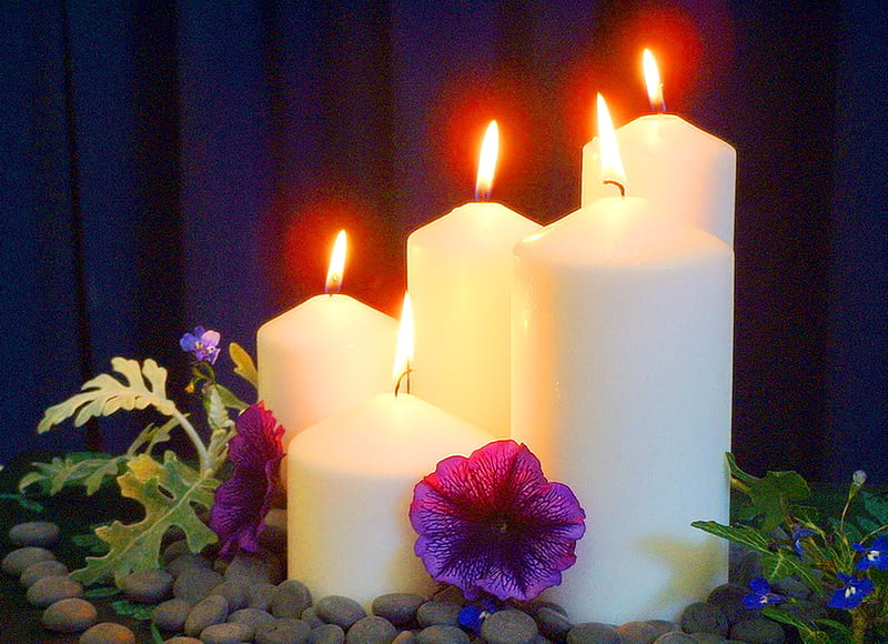 Candles of Advent, advent, flame, four, coming, candles, HD wallpaper