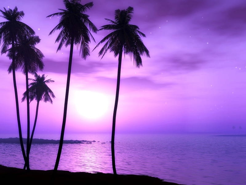 PURPLE TWILIGHT, stars, purple, ocean, sunset, twilight, clouds, sky ...