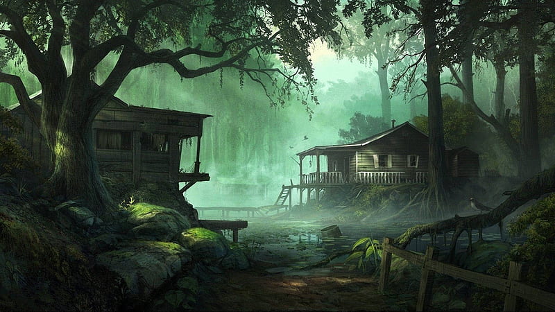 Houses In Dark Green Forest Aesthetic, Dark Green Jungle, HD wallpaper