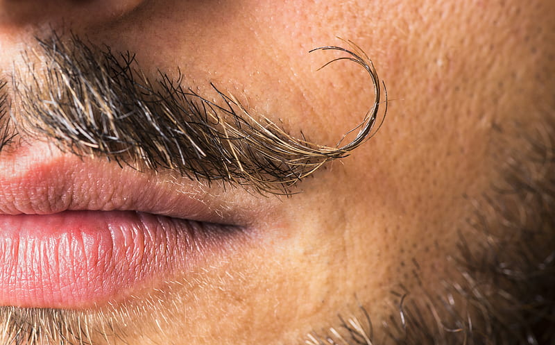 Moustache, hair, mouth, face, man, lips, HD wallpaper