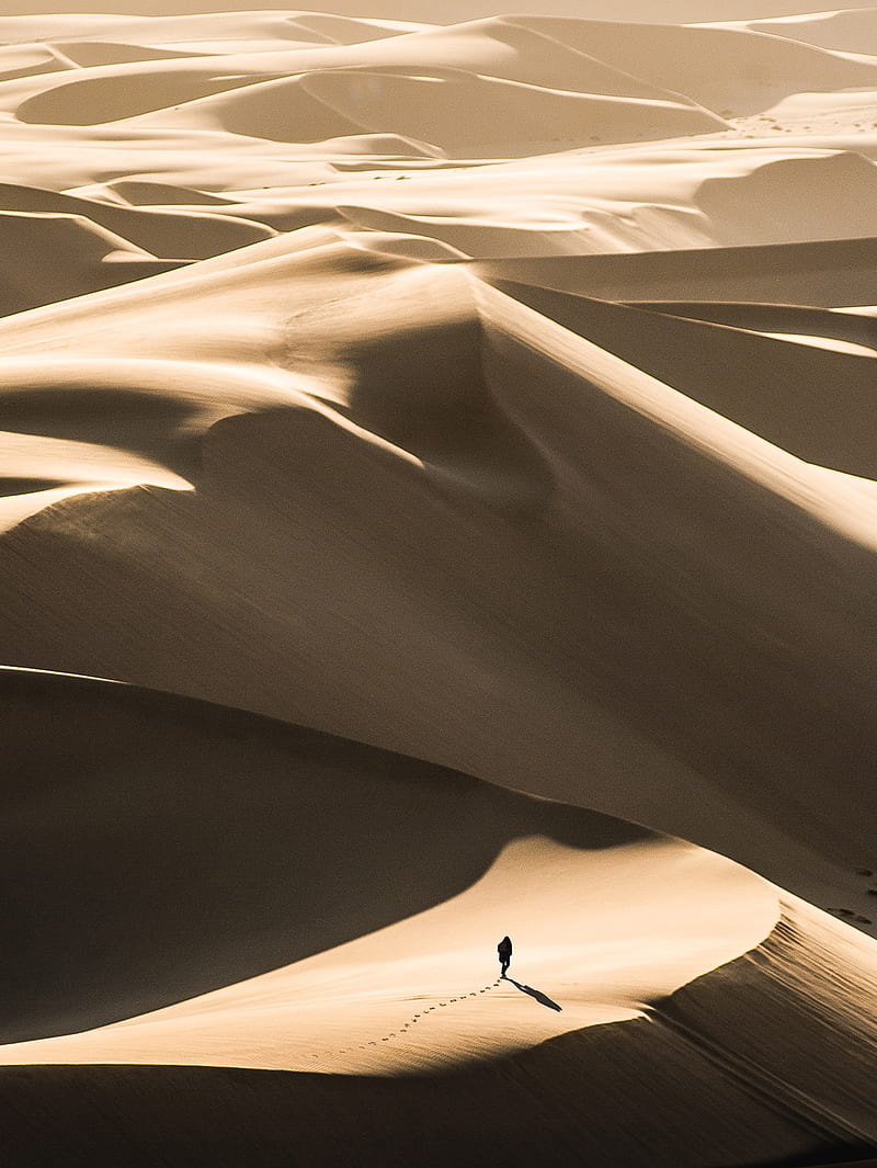 desert, sand, silhouette, dunes, lonely, wanderer, HD phone wallpaper