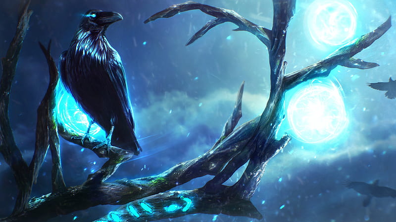 moonlight, magic, raven, dark, forest, artwork, Fantasy, HD wallpaper