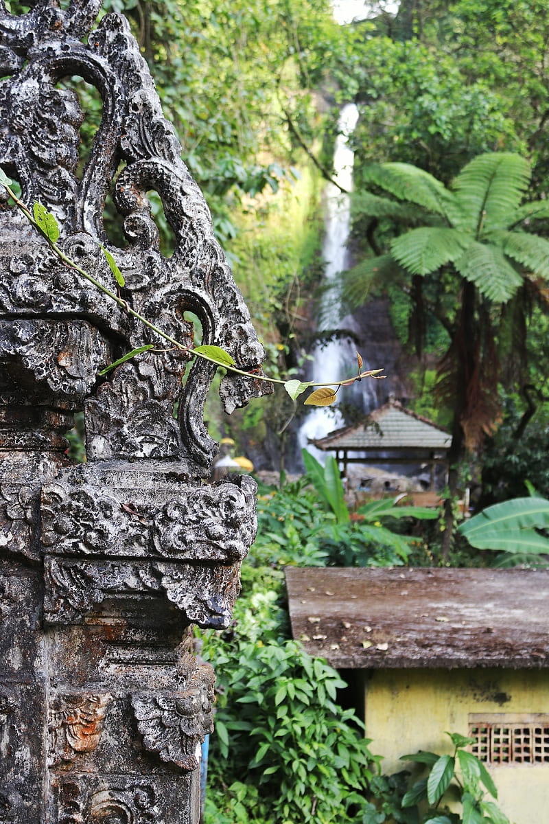 nature, landscape, waterfall, wall, Bali, Indonesia, green, stone, HD phone wallpaper