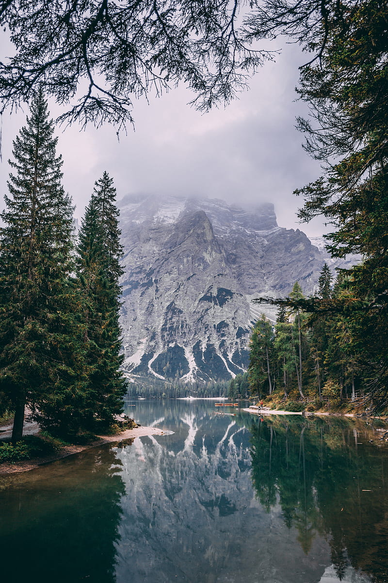 nature, trees, water, mountains, pine trees, calm waters, HD phone wallpaper